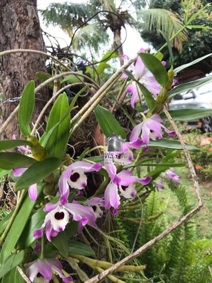 Chácara, 3 quartos, 1200 m² - Foto 19