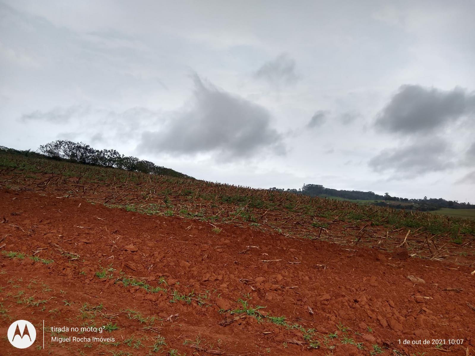 Fazenda à venda com 8 quartos, 3146000m² - Foto 9