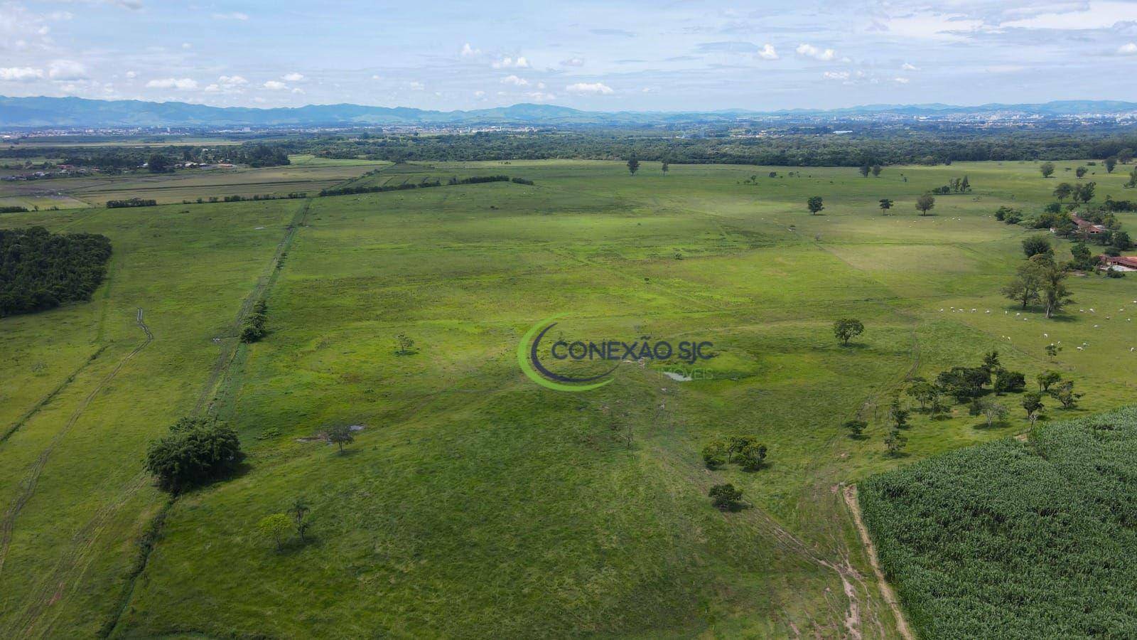 Fazenda à venda com 7 quartos, 968000M2 - Foto 8