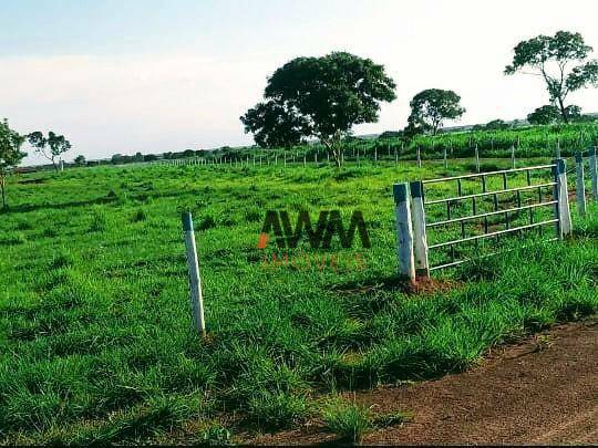 Fazenda à venda, 19263200M2 - Foto 9