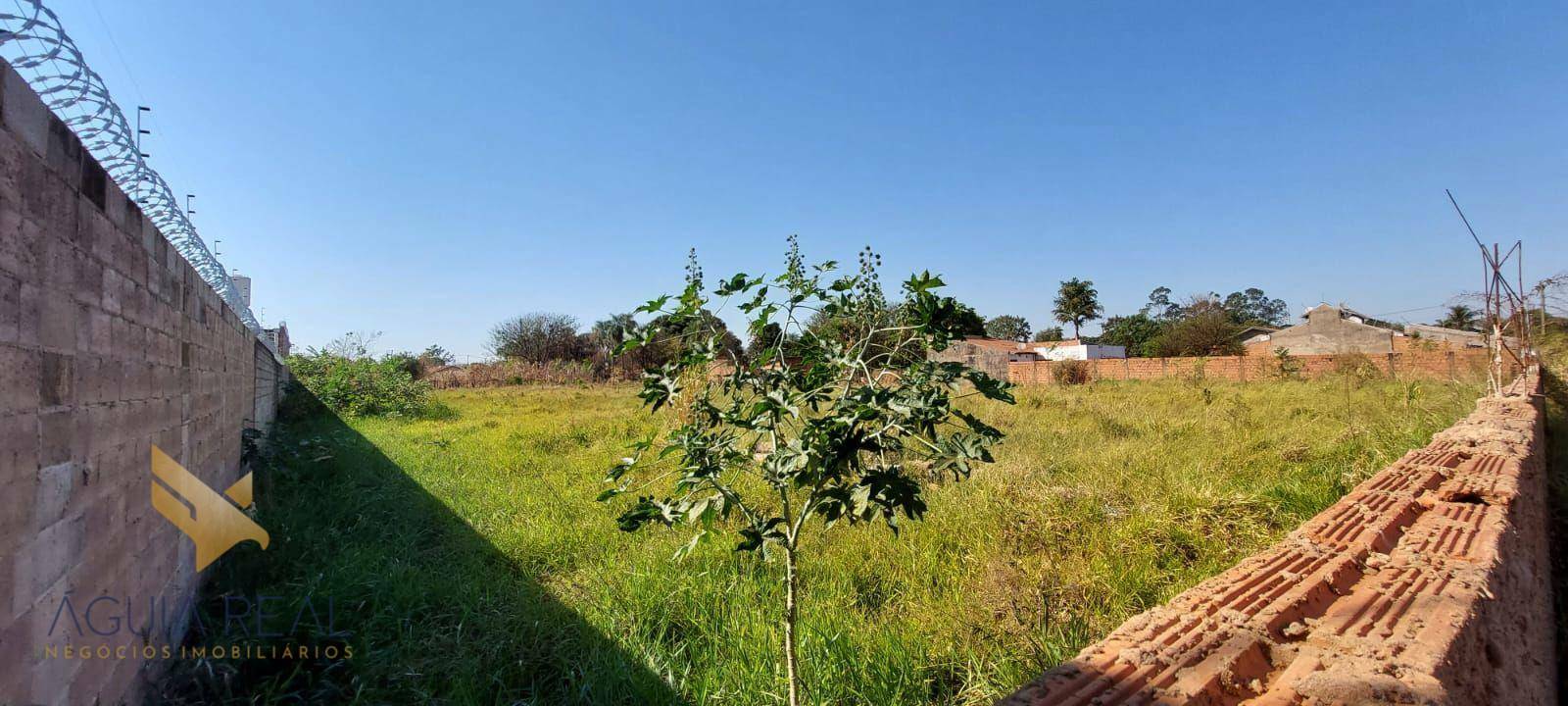 Terreno à venda, 5000M2 - Foto 4