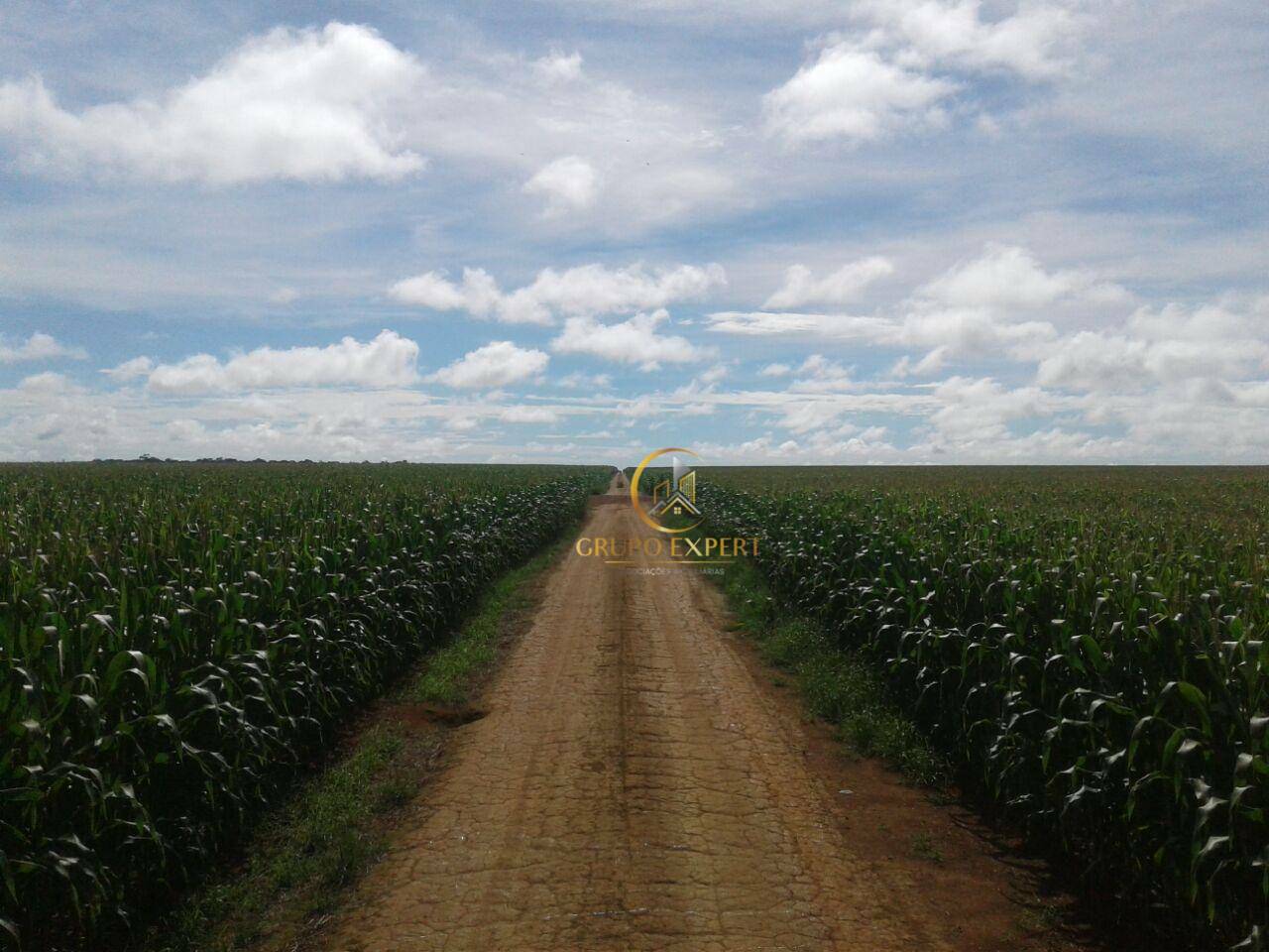 Fazenda à venda com 3 quartos, 159120000M2 - Foto 7