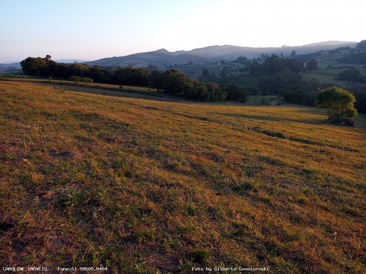 Fazenda à venda com 3 quartos, 586000m² - Foto 23