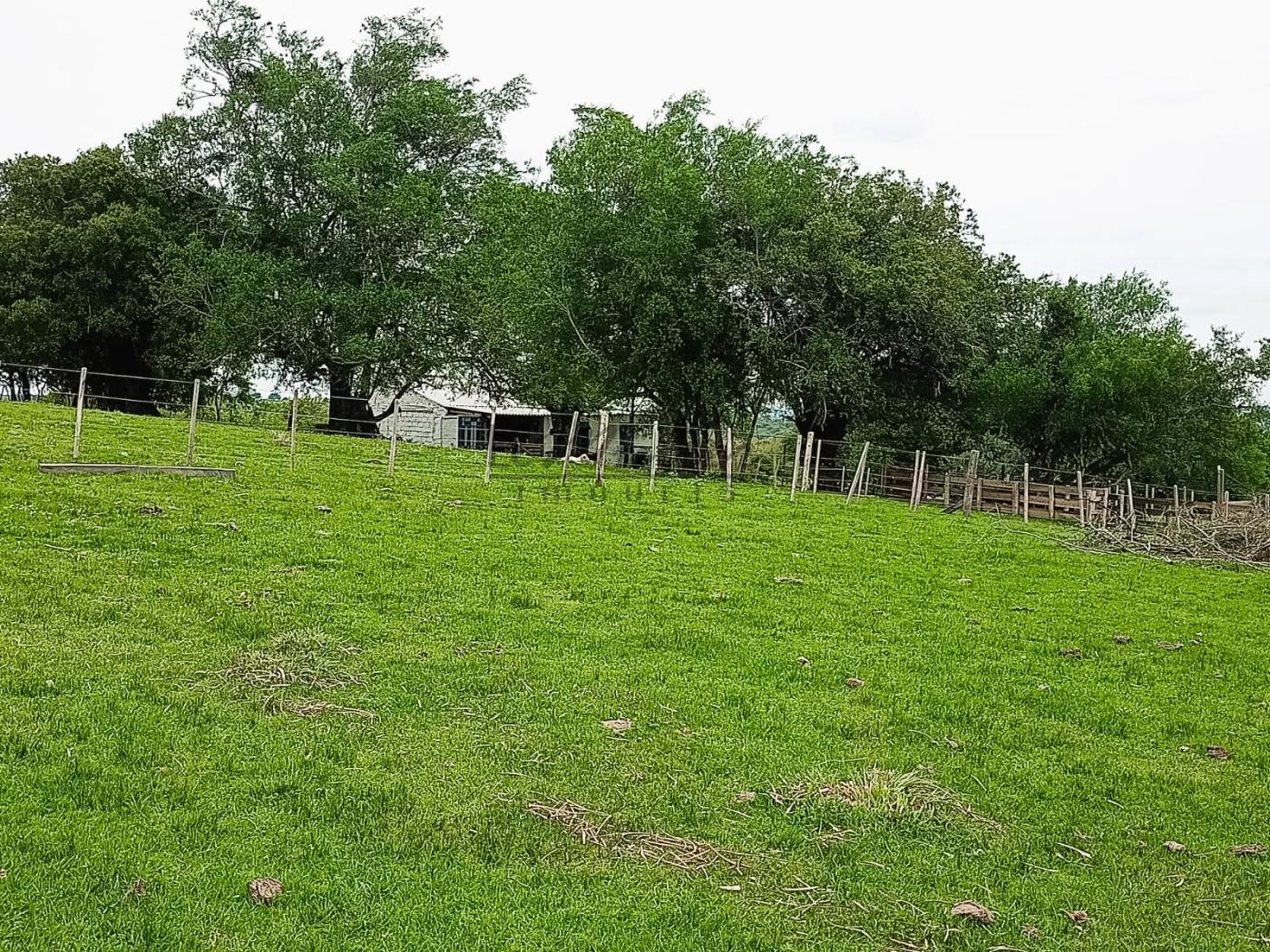 Fazenda à venda, 208m² - Foto 6