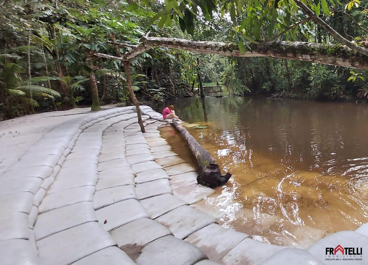 Chácara à venda com 2 quartos, 12000m² - Foto 21