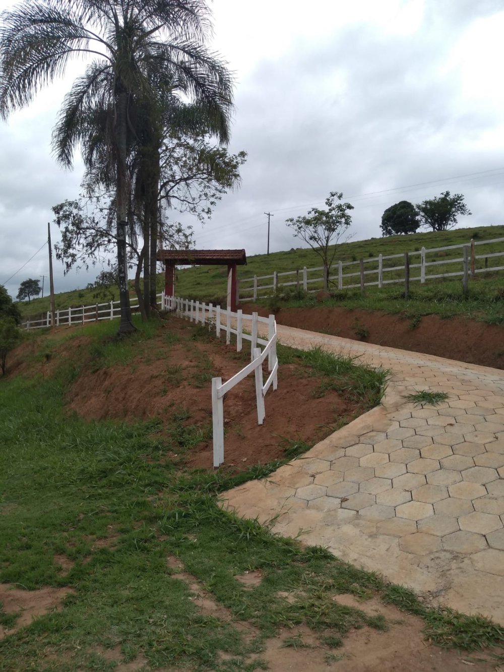 Sítio à venda com 3 quartos, 59m² - Foto 8
