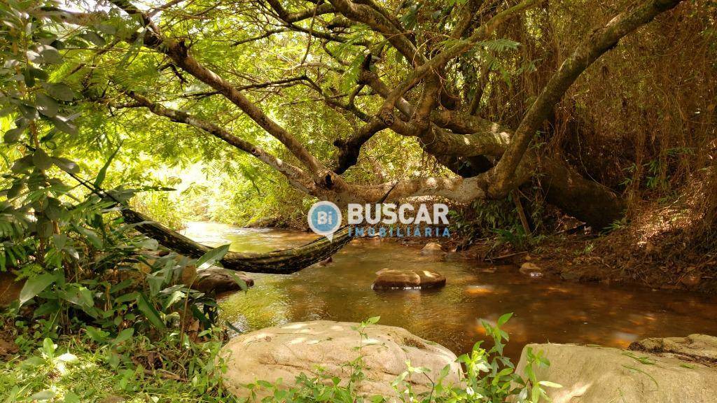 Fazenda à venda com 11 quartos, 440000M2 - Foto 21