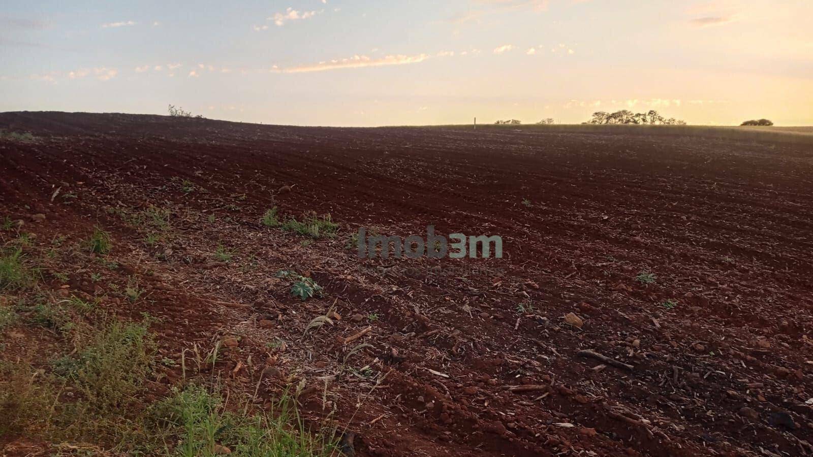 Terreno à venda, 4000M2 - Foto 4