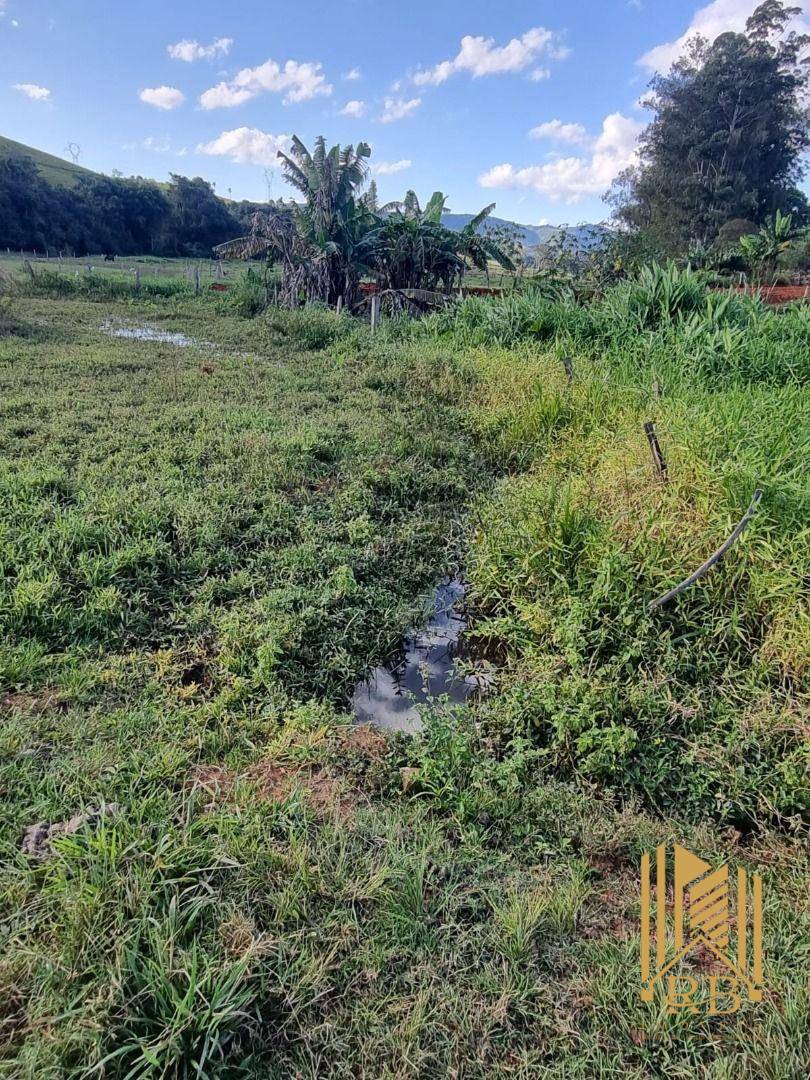 Chácara, 7000 m² - Foto 8