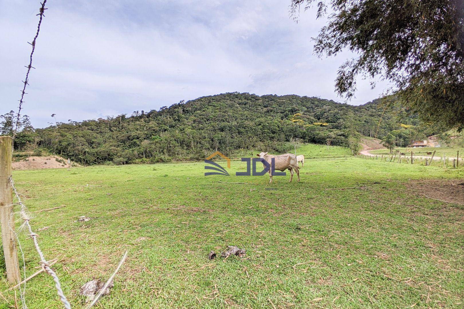 Terreno à venda, 100000M2 - Foto 12