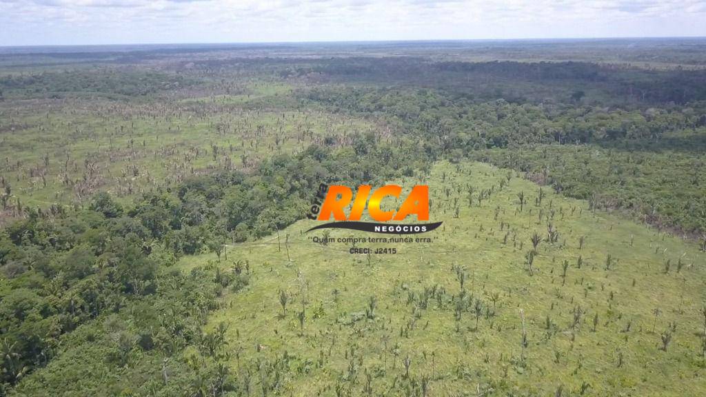 Fazenda, 300 hectares - Foto 9