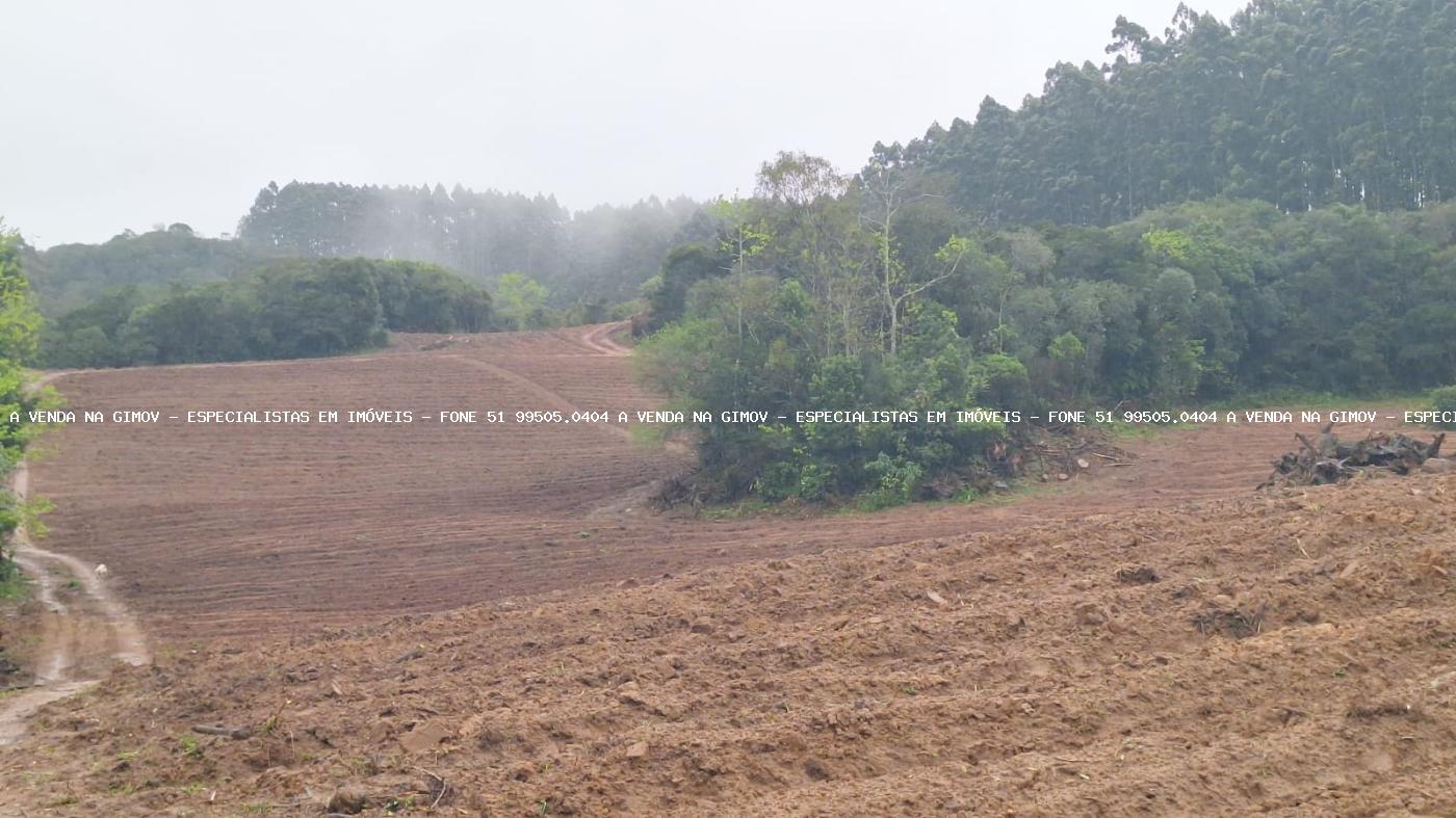 Fazenda à venda com 2 quartos, 141000m² - Foto 20