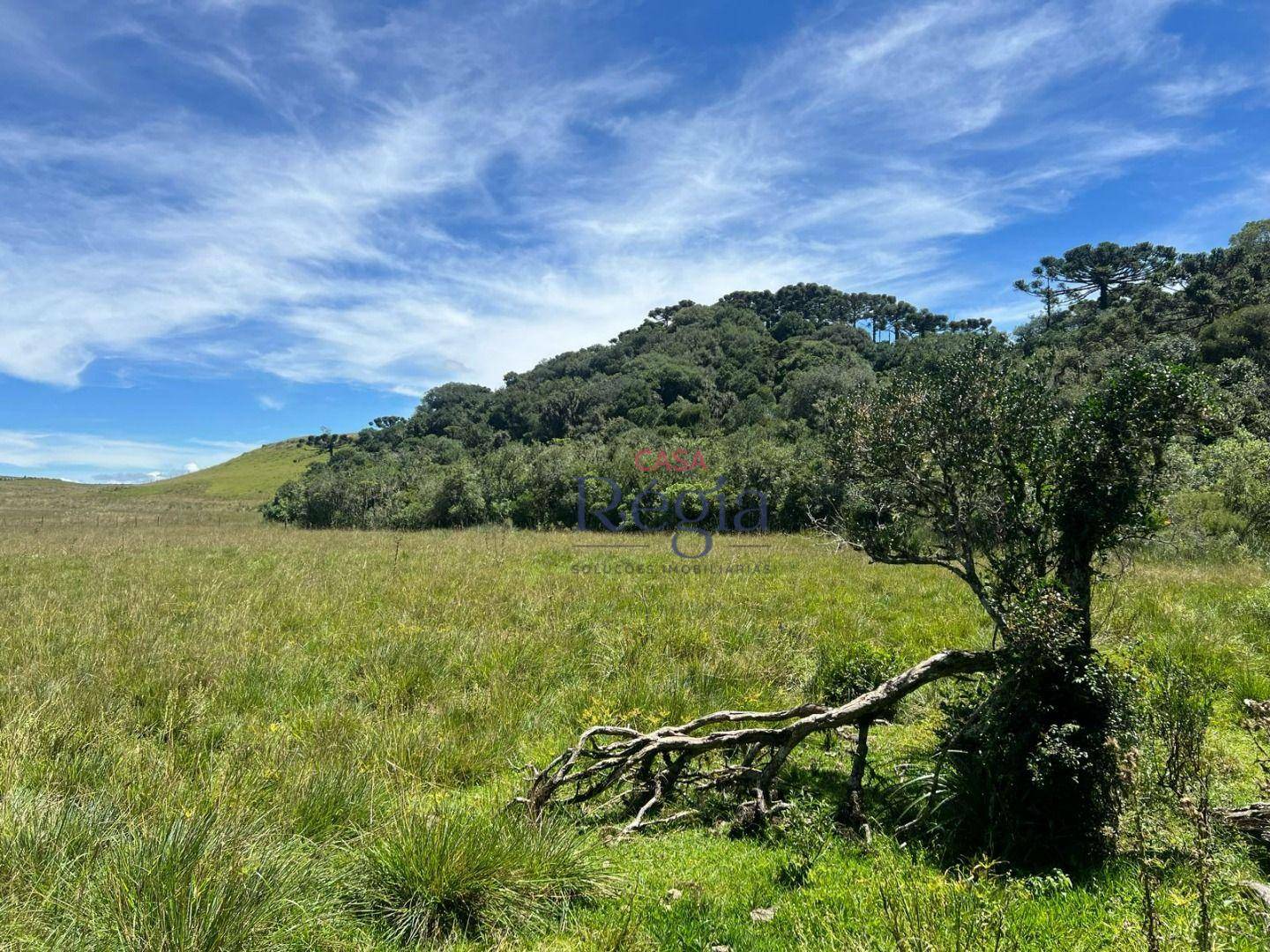 Sítio à venda, 150000M2 - Foto 12