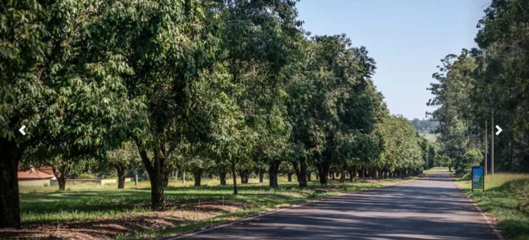 Terreno à venda, 600m² - Foto 3