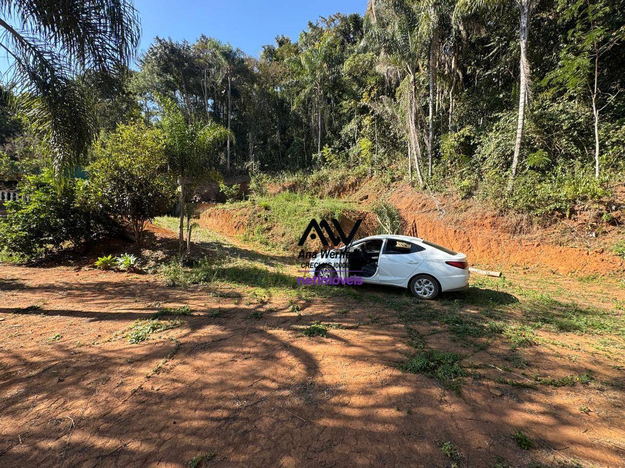 Sítio, 2 quartos, 1000 m² - Foto 3