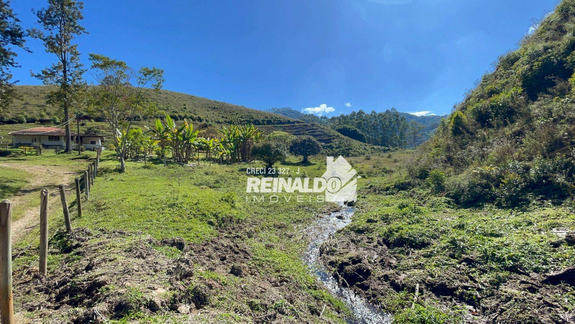 Fazenda à venda com 8 quartos, 900m² - Foto 13