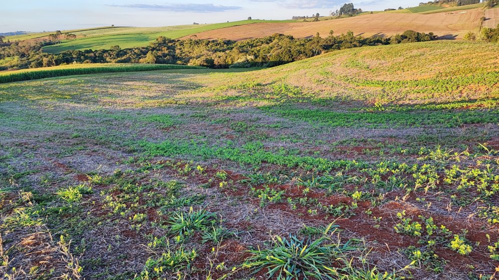 Fazenda à venda, 13m² - Foto 10