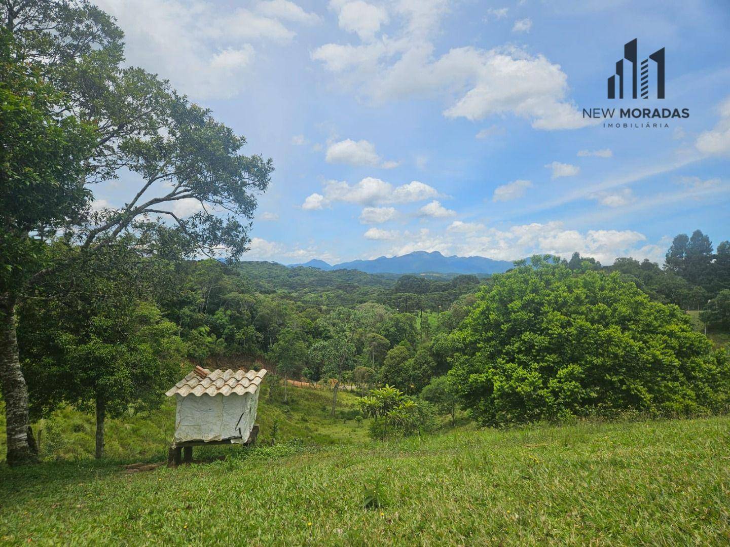 Chácara, 9 quartos, 3 hectares - Foto 22