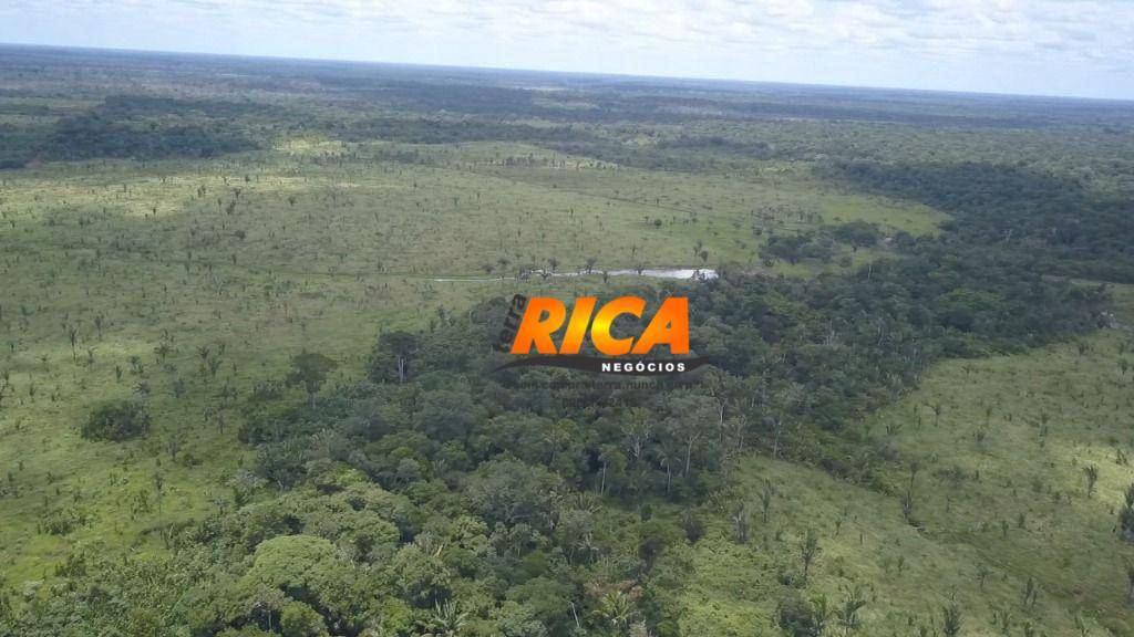 Fazenda, 300 hectares - Foto 5