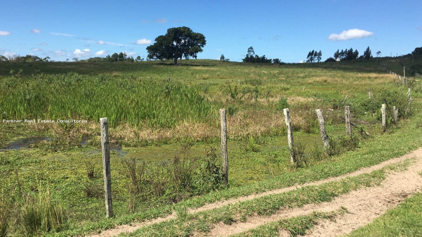 Fazenda à venda com 3 quartos, 52m² - Foto 26