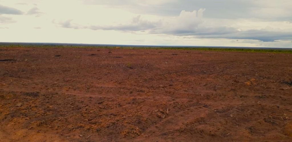 Fazenda-Sítio-Chácara, 2037 hectares - Foto 1