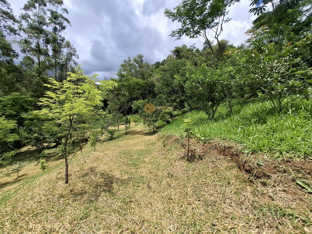 Fazenda à venda com 8 quartos, 52000m² - Foto 57