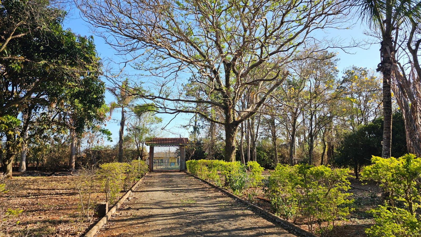 Haras e Área Rural Padrão à venda com 3 quartos, 96800M2 - Foto 10