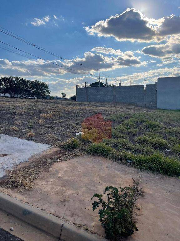 Terreno, 250 m² - Foto 3