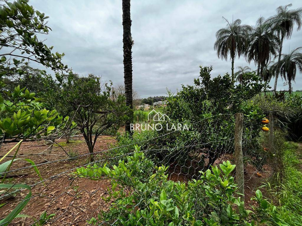 Terreno, 2 hectares - Foto 4