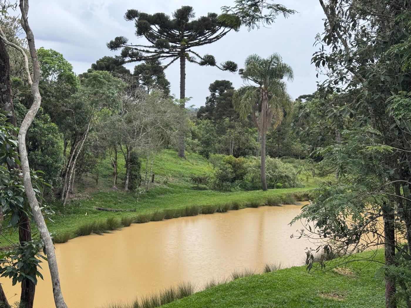 Chácara à venda com 4 quartos, 15000m² - Foto 38