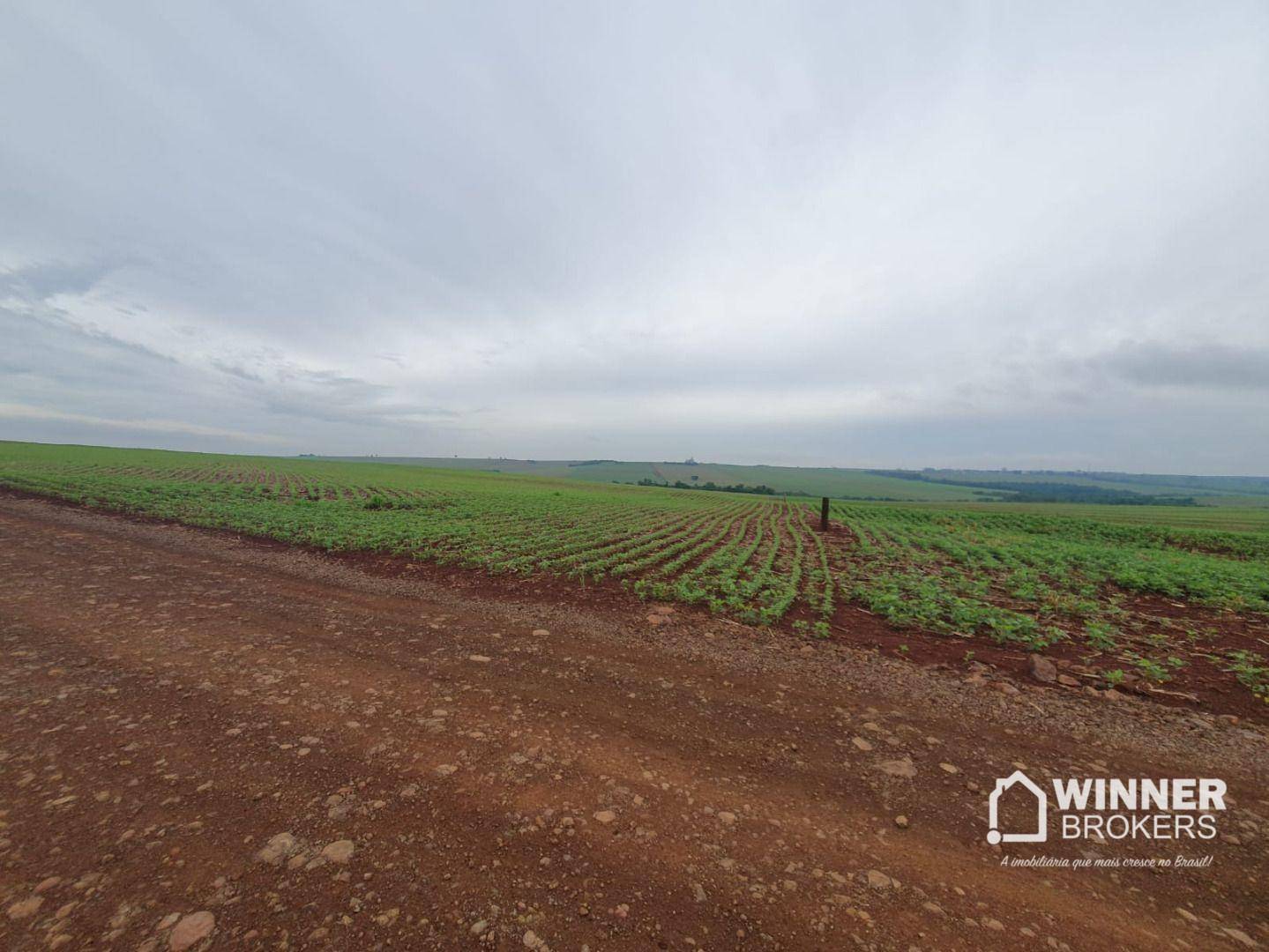 Sítio, 15 hectares - Foto 3