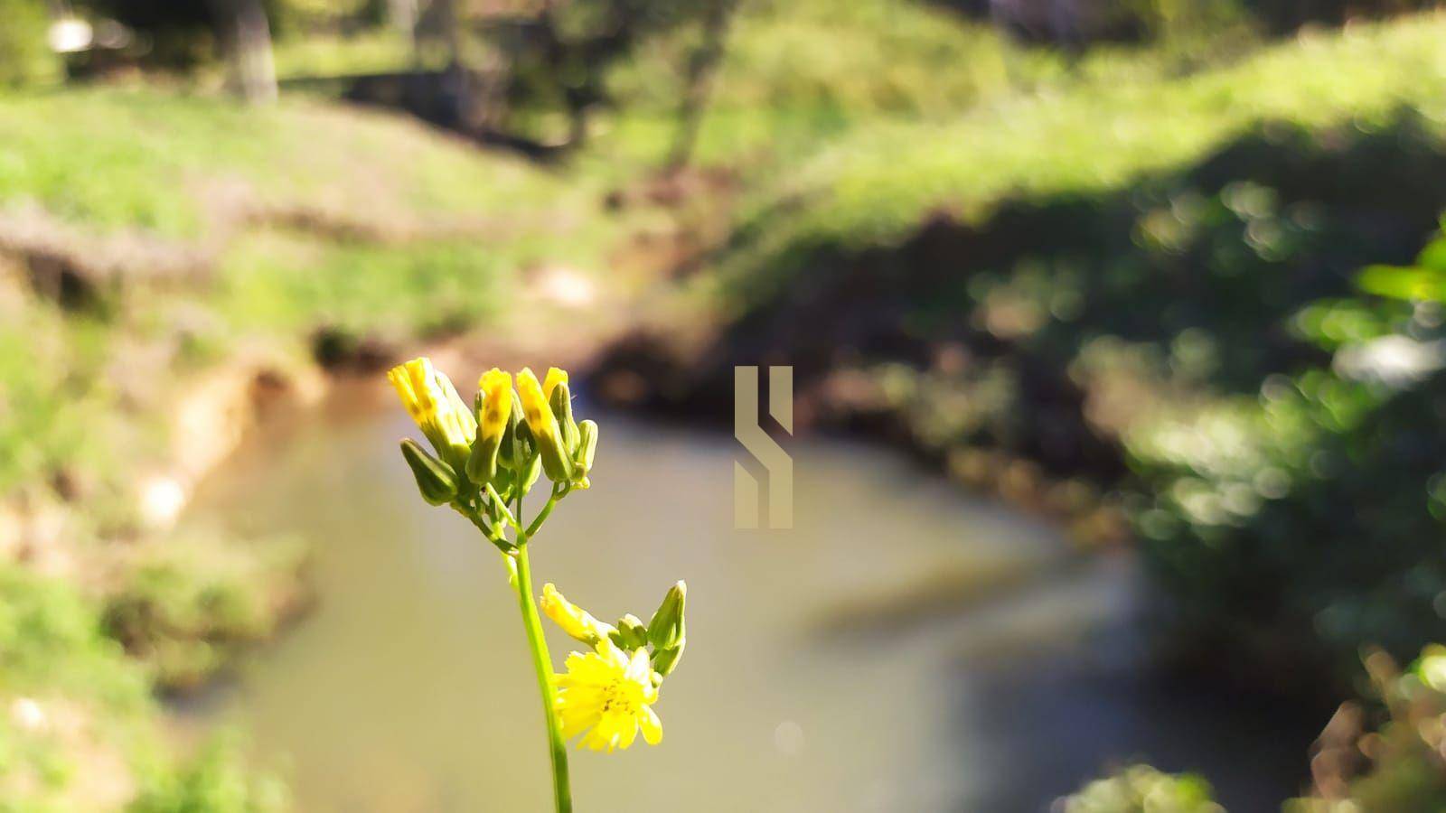 Chácara, 2 quartos, 3606 m² - Foto 2