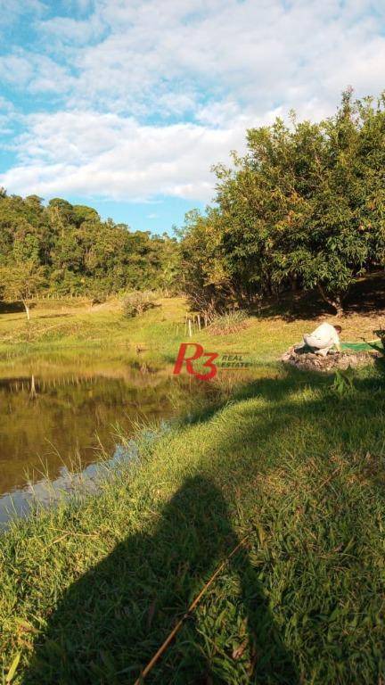 Sítio, 5 quartos, 7 hectares - Foto 41