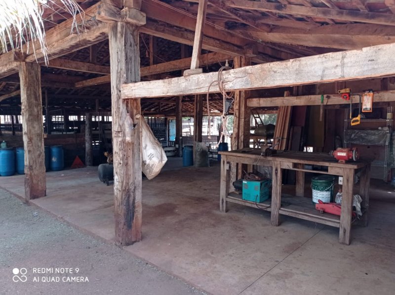 Fazenda, 532400 hectares - Foto 4