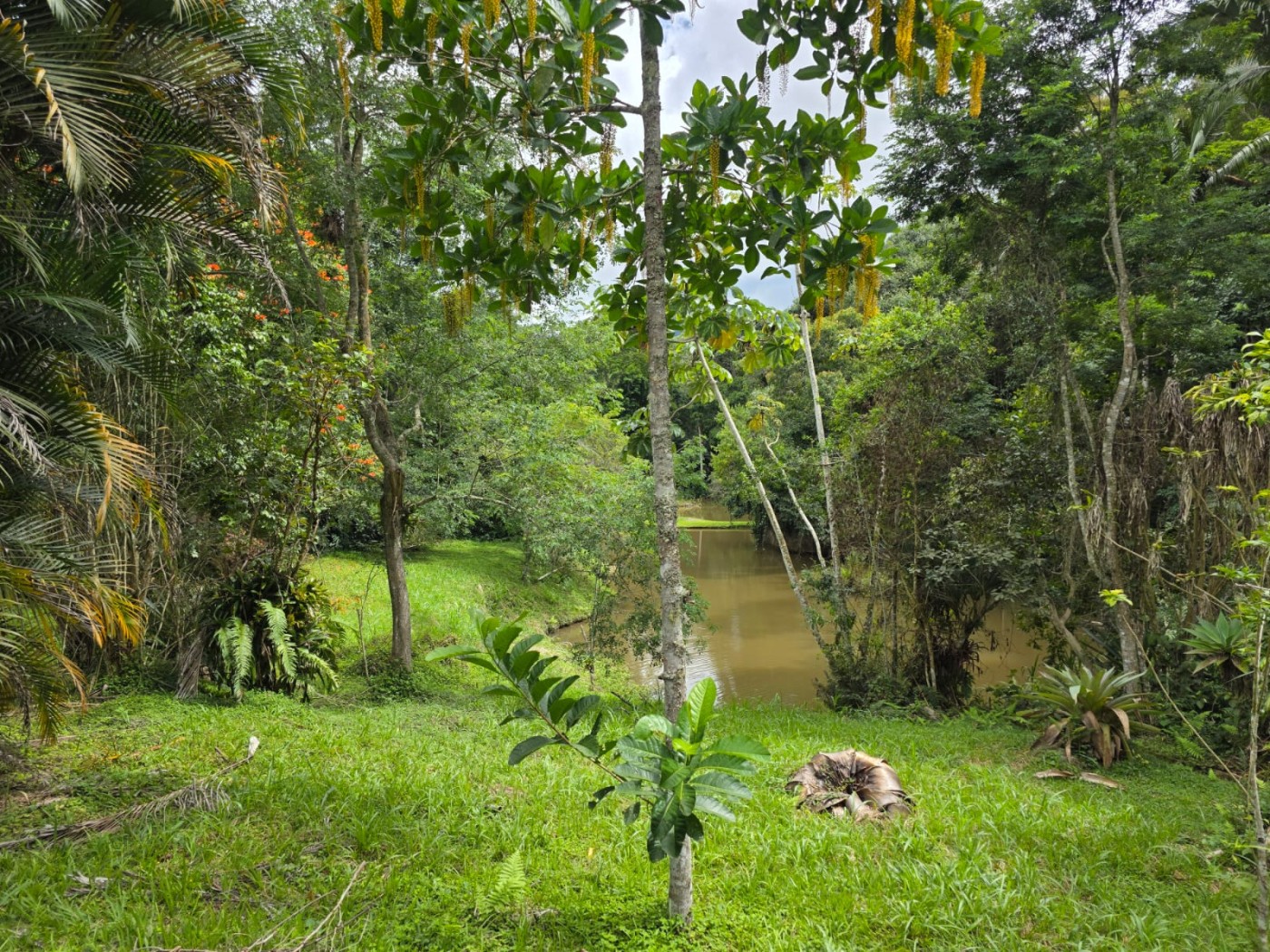 Fazenda à venda com 6 quartos, 183m² - Foto 30