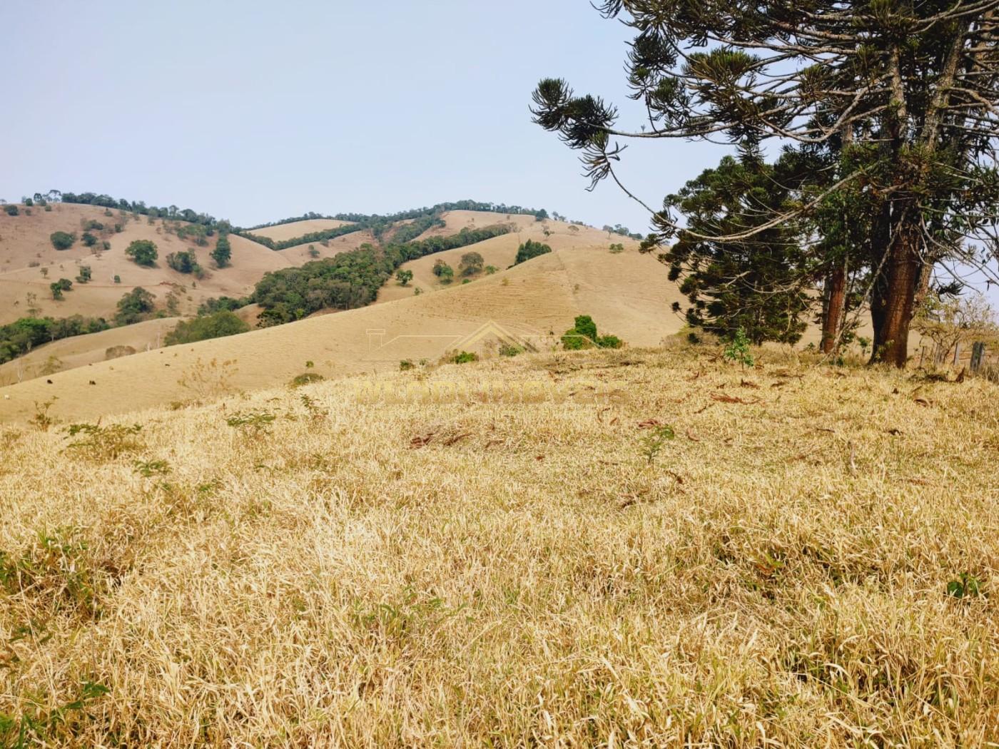 Terreno à venda, 20000m² - Foto 3