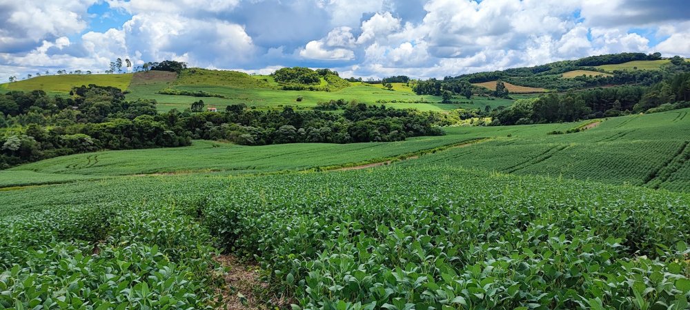 Fazenda à venda, 52m² - Foto 2