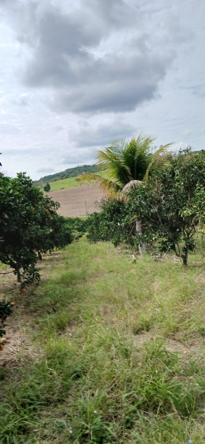 Sítio à venda com 3 quartos, 67000m² - Foto 28