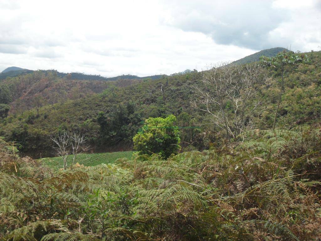 Loteamento e Condomínio à venda, 1024M2 - Foto 2