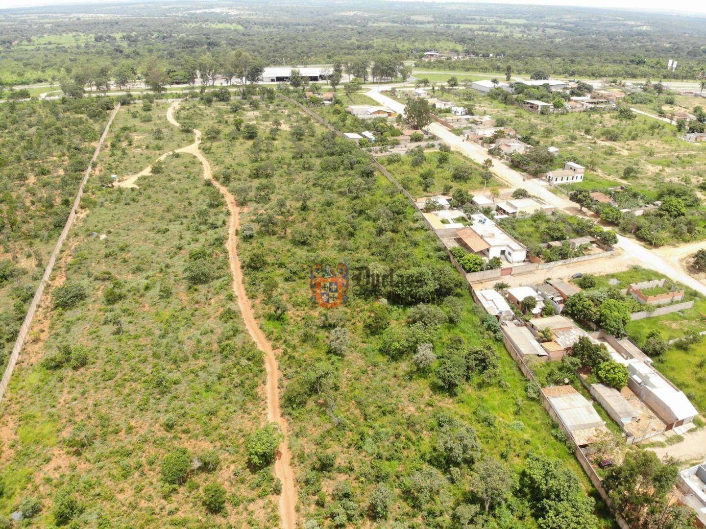 Fazenda, 31 hectares - Foto 3