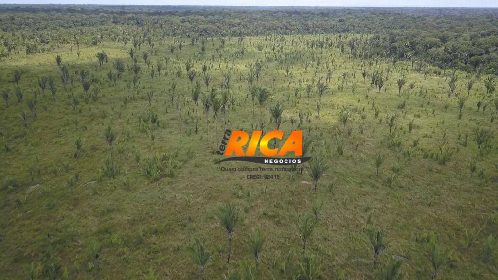 Fazenda, 300 hectares - Foto 7