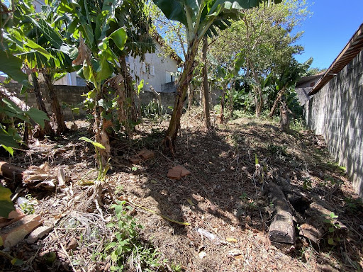 Terreno à venda, 250M2 - Foto 3