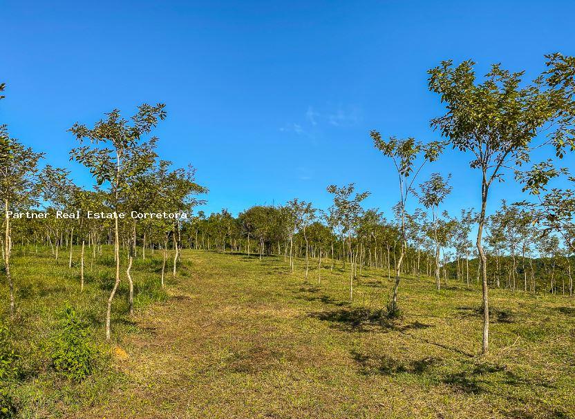 Fazenda à venda com 1 quarto, 2750000m² - Foto 13