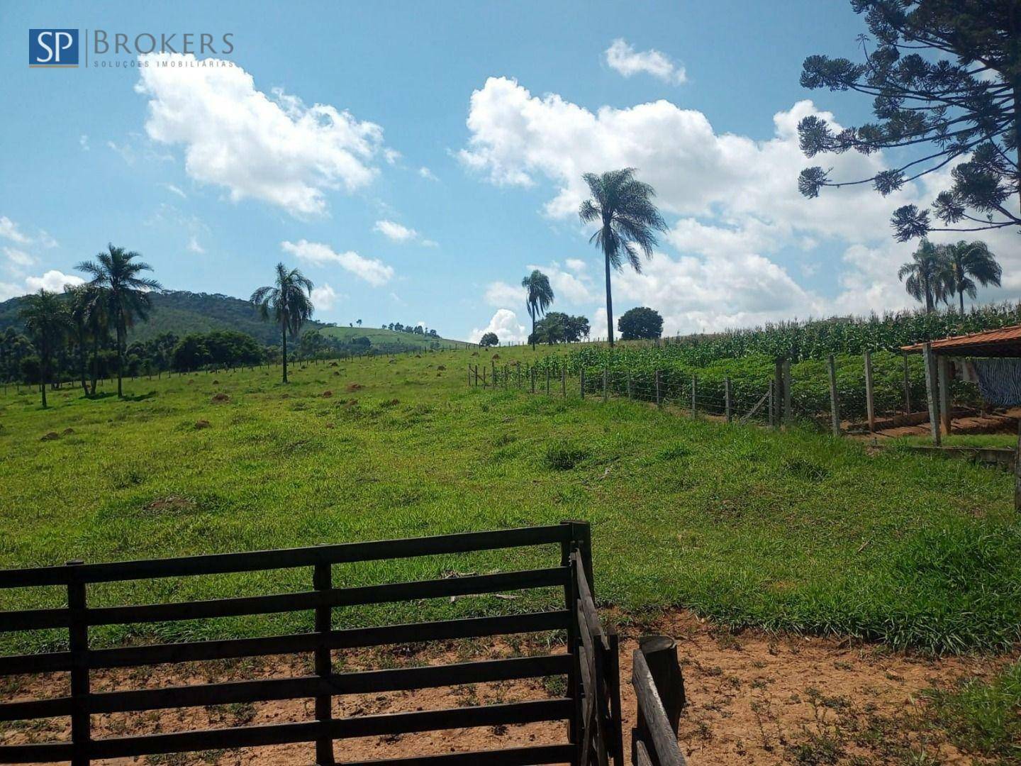 Chácara à venda com 4 quartos, 300m² - Foto 18