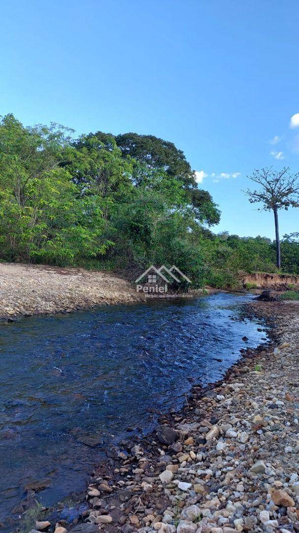 Fazenda-Sítio-Chácara, 222 hectares - Foto 5
