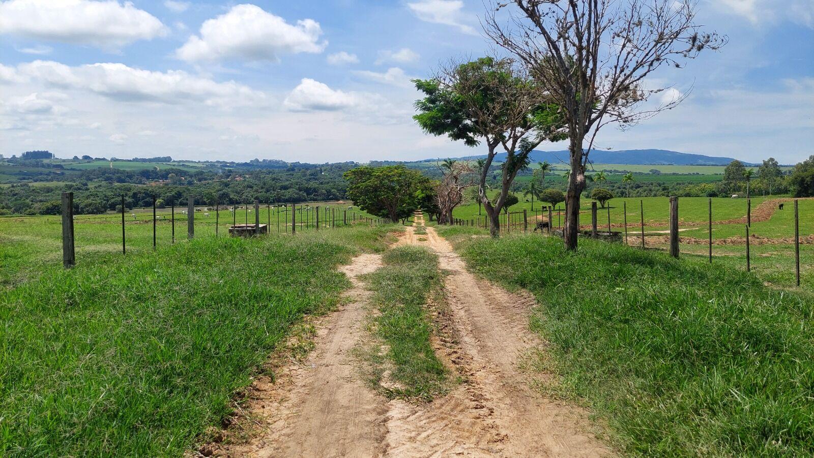 Fazenda à venda com 2 quartos, 919600m² - Foto 3