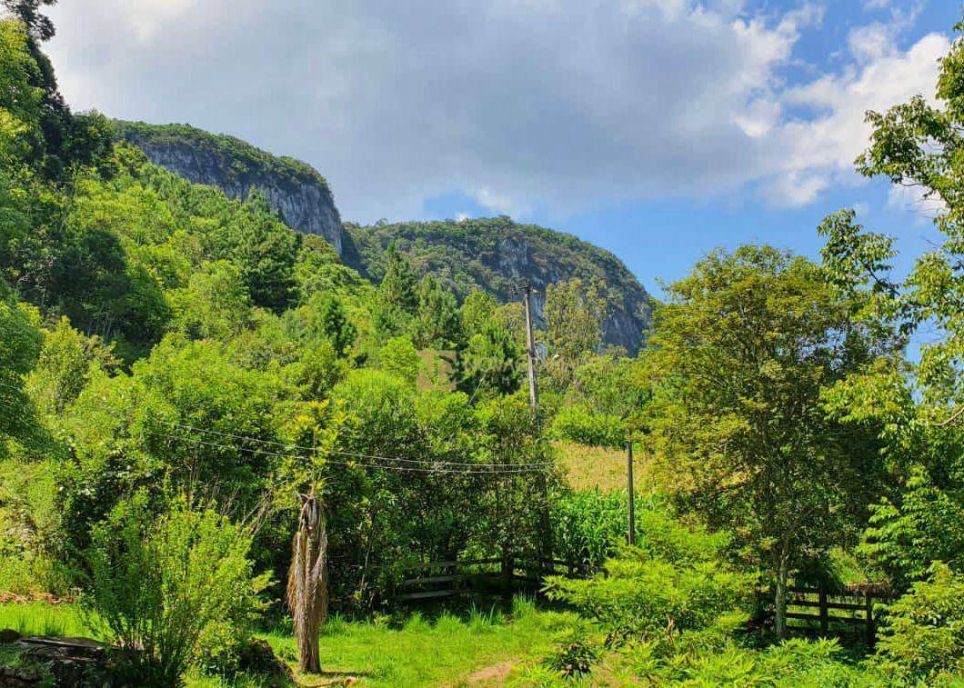 Sítio à venda, 350000M2 - Foto 9