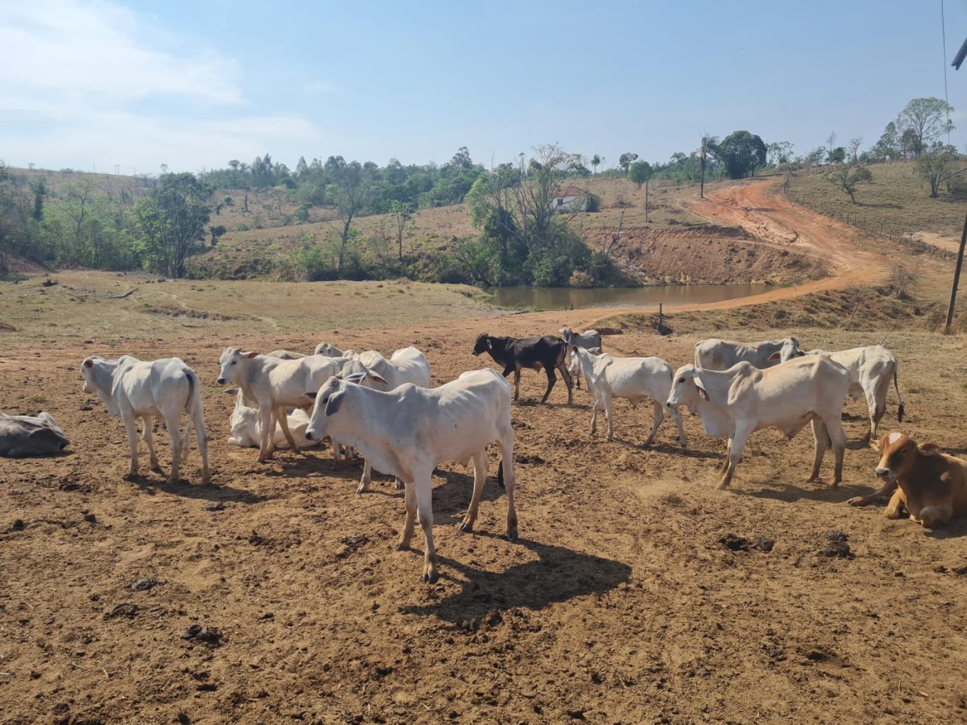 Fazenda à venda, 417m² - Foto 1