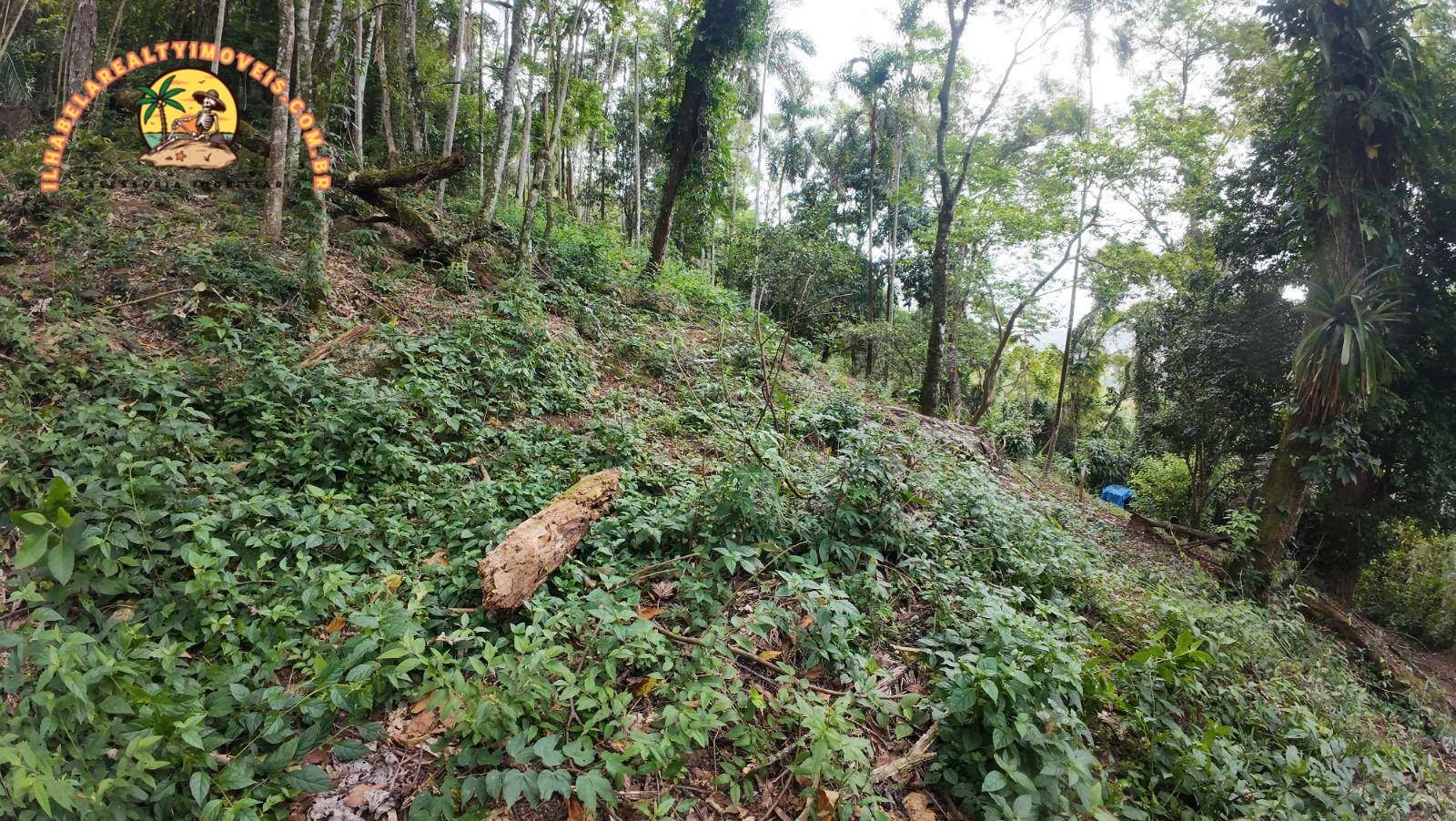 Terreno, 1 hectares - Foto 3