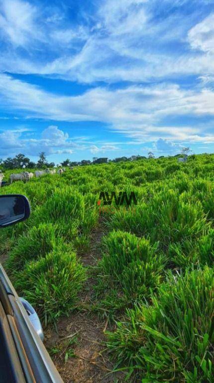 Fazenda à venda, 10406000M2 - Foto 14